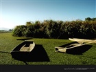 dailyPhoto1