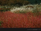 dailyPhoto25