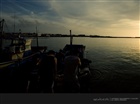 dailyPhoto7