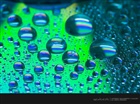 dailyPhoto29