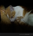 dailyPhoto2