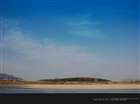 dailyPhoto16