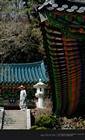 dailyPhoto10