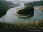 dailyPhoto15