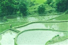 dailyPhoto1