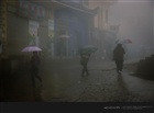 dailyPhoto9