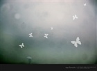 dailyPhoto39