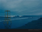 dailyPhoto4