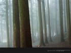 dailyPhoto10