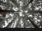 dailyPhoto39