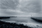 dailyPhoto4