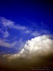 dailyPhoto21