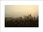 dailyPhoto8