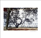dailyPhoto2