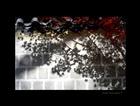 dailyPhoto7