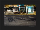 dailyPhoto36
