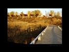 dailyPhoto27