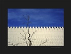 dailyPhoto10