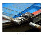dailyPhoto4