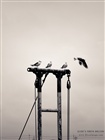 dailyPhoto10