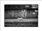 dailyPhoto8
