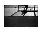 dailyPhoto32