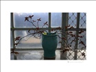 dailyPhoto5