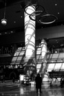 dailyPhoto40