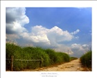 dailyPhoto5