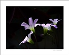 dailyPhoto9