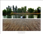 dailyPhoto5