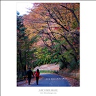 dailyPhoto1