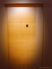 dailyPhoto3