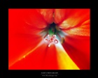 dailyPhoto34
