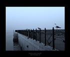 dailyPhoto8