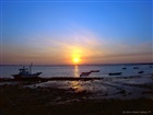 dailyPhoto15