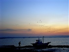 dailyPhoto35