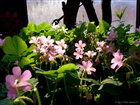 dailyPhoto9