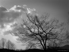 dailyPhoto17