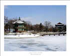 dailyPhoto9