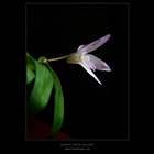 dailyPhoto21