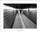 dailyPhoto10
