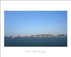 dailyPhoto9