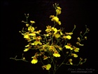 dailyPhoto8
