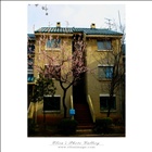 dailyPhoto30