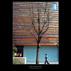 dailyPhoto13
