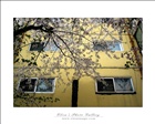 dailyPhoto9