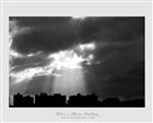 dailyPhoto37