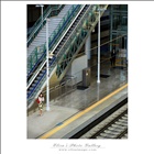 dailyPhoto8