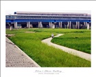 dailyPhoto39